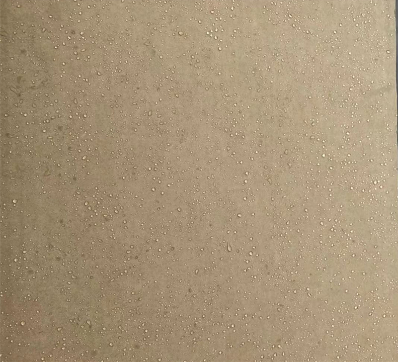 ��ˮֽ��