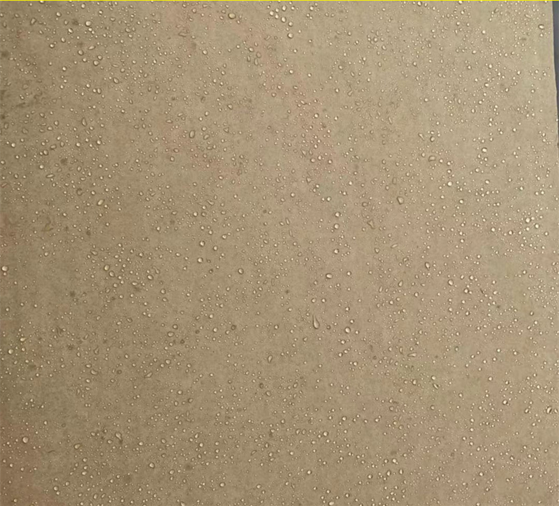 ��ˮֽ��
